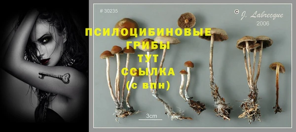 соль курить ск Мегион