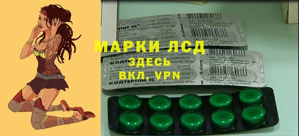 крисы Медногорск