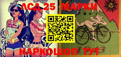 гашик Донской