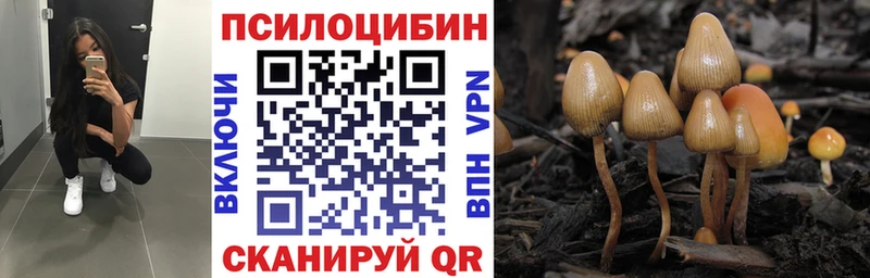 hydra зеркало  Заринск  Галлюциногенные грибы Cubensis 