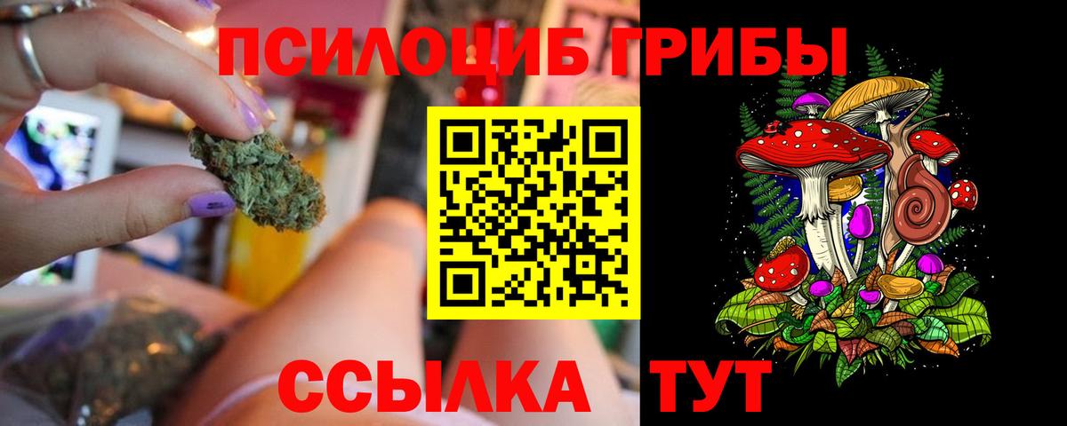 Псилоцибиновые грибы мицелий  Вход с VPN  Заринск 